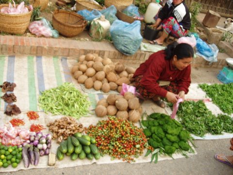 morning-market02