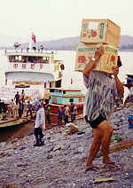 Die Apfel-Kartons werden das steile Mekong-Ufer hinaufgeschafft  (8.2 K)